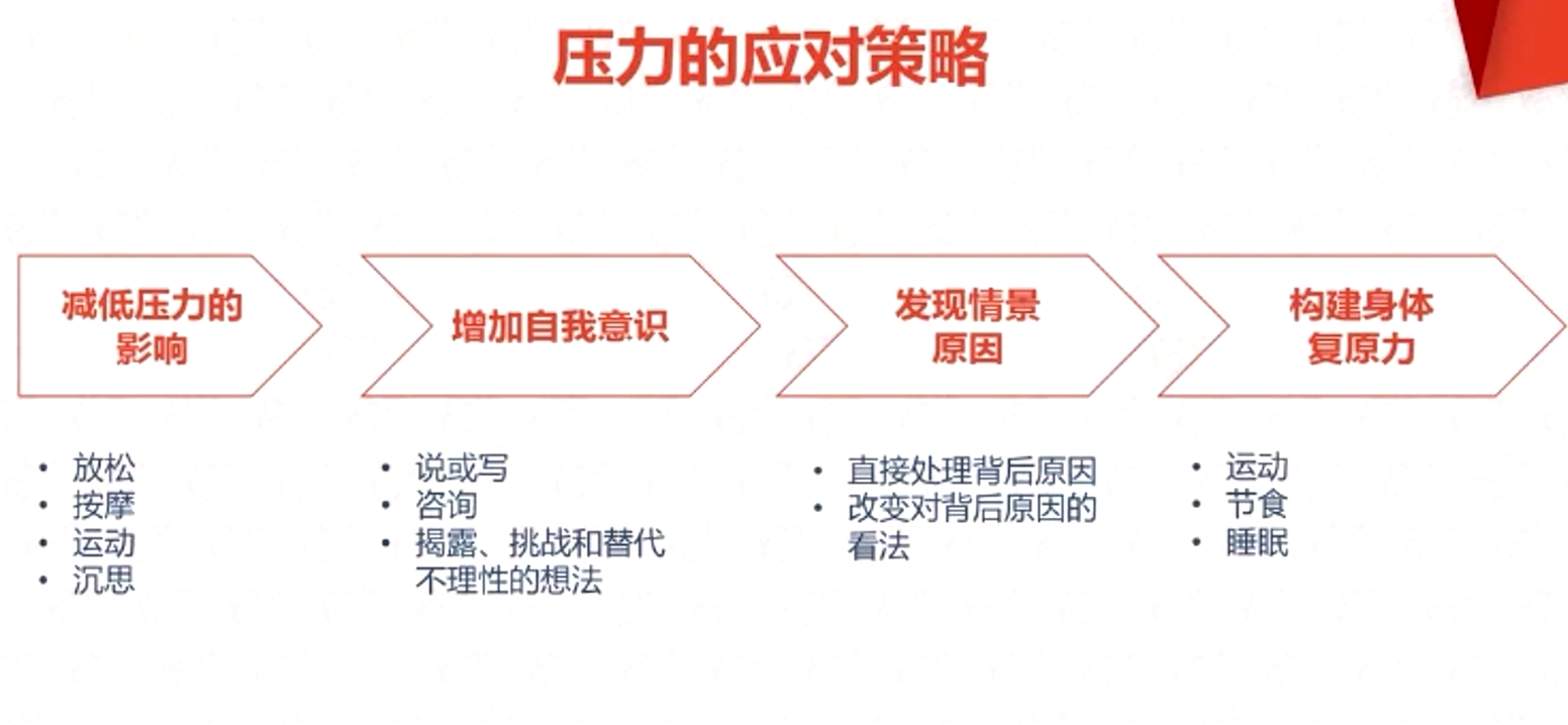 壓力的應(yīng)對(duì)策略 壓力的應(yīng)對(duì)策略