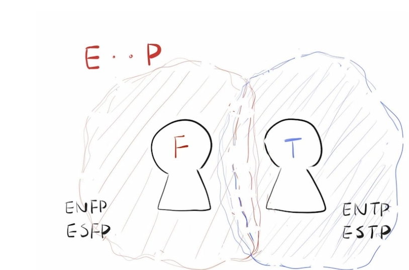 MBTI中具有這兩個字母的人，氣場多半比較發(fā)散（E）但比較柔軟（P）