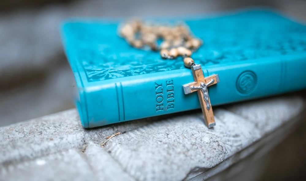 提倡者在不同領域中的表現